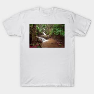 Double waterfall in the rainforest in Hawaii T-Shirt